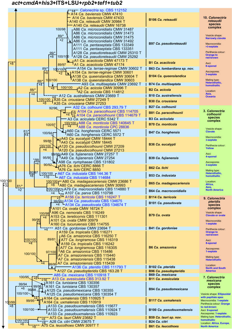 Fig. 1