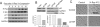 FIGURE 7: