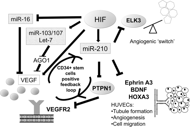 FIG. 7.