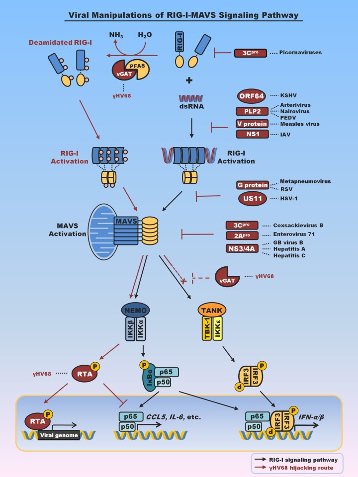 FIG 1