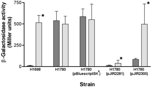 FIG. 2.