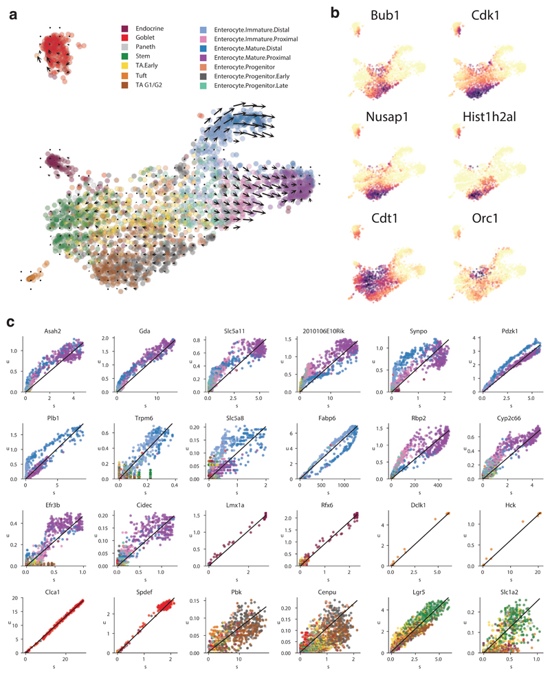 Extended Data Figure 6