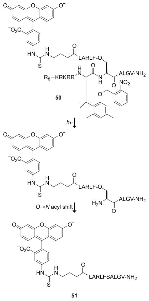 Fig. 19