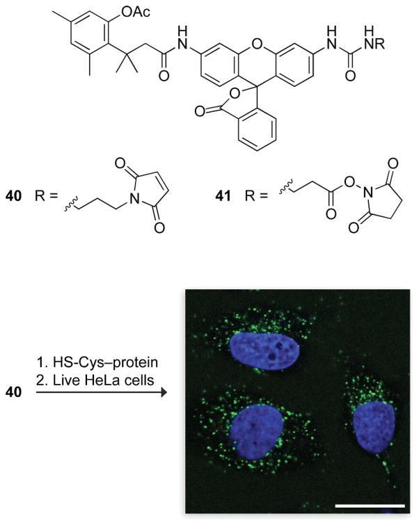 Fig. 14