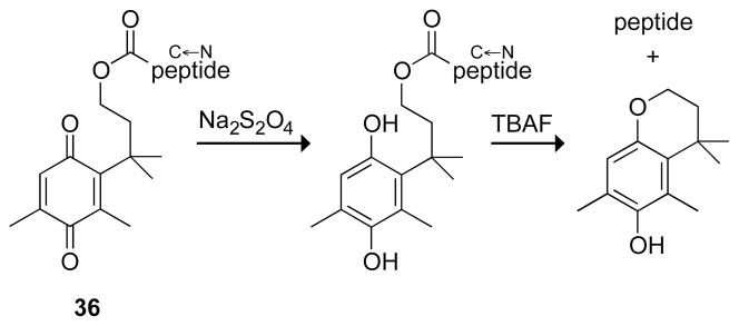 Fig. 11