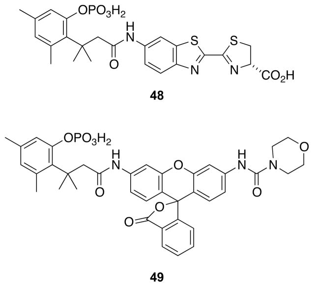 Fig. 18