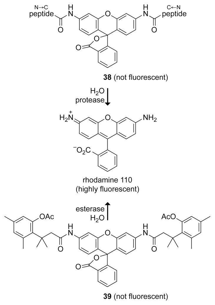 Fig. 13