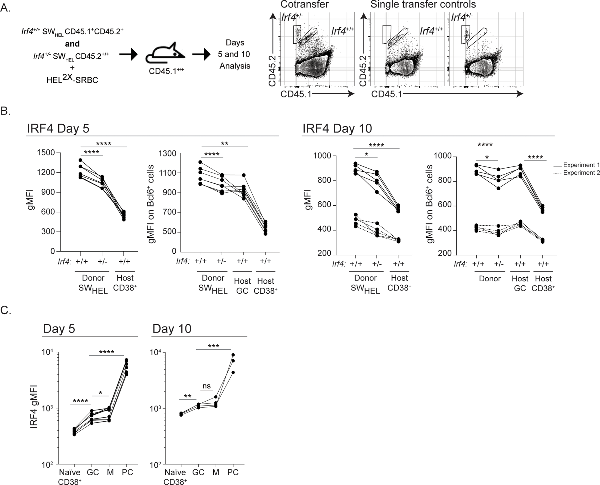 Figure 2: