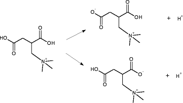 Diagram 19