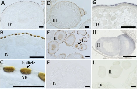 FIG. 8.