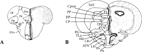 FIG. 11.