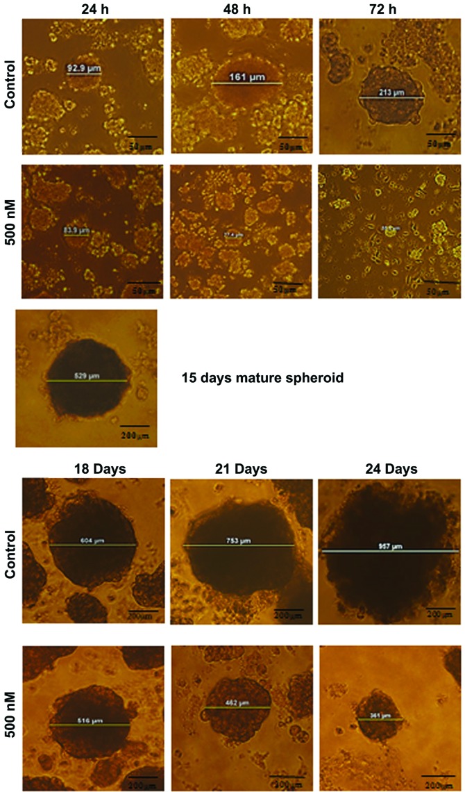 Figure 10