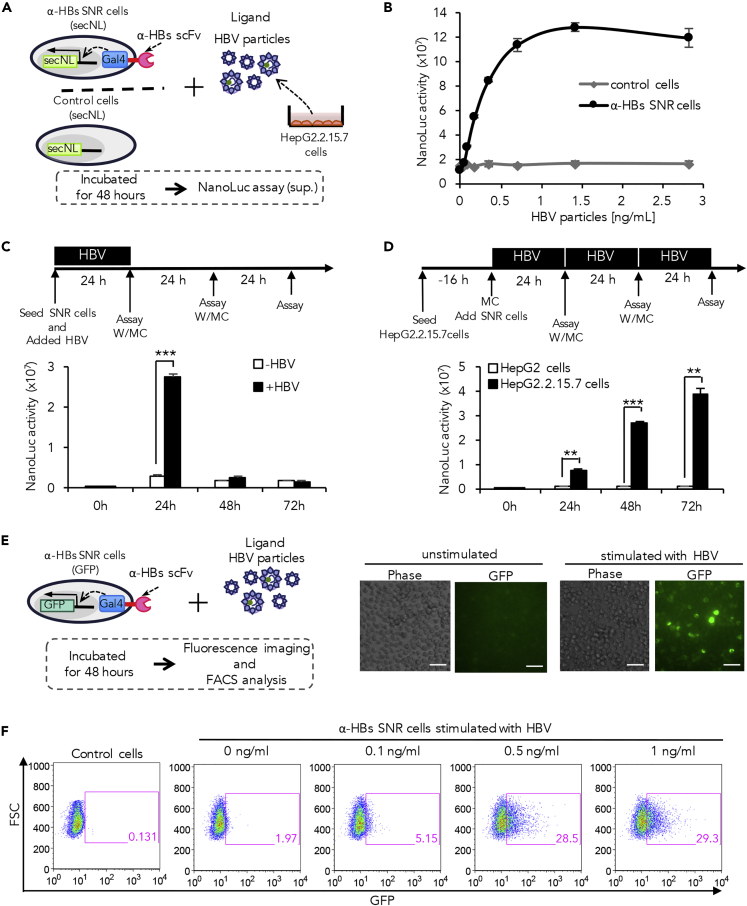 Figure 2