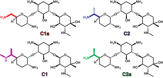 FIG 1