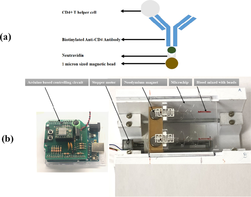 Figure 3.