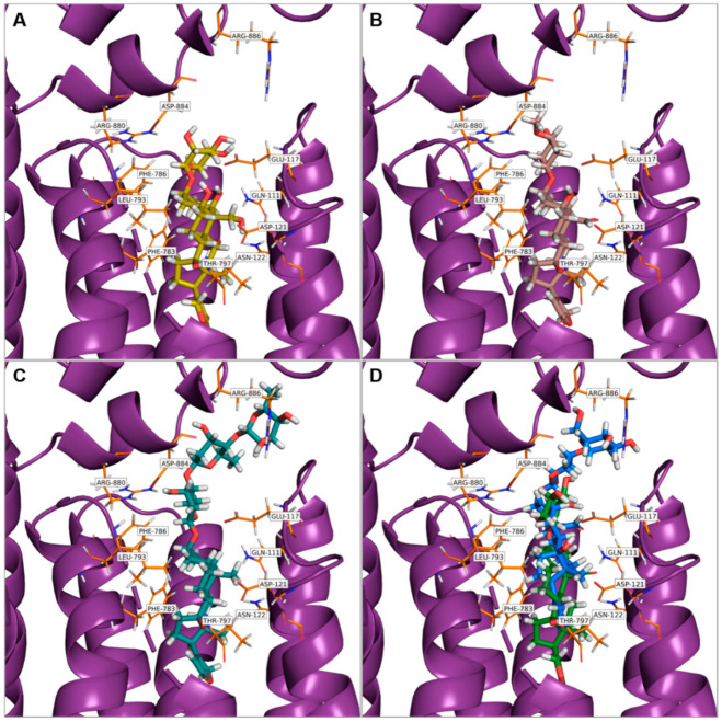 Figure 4