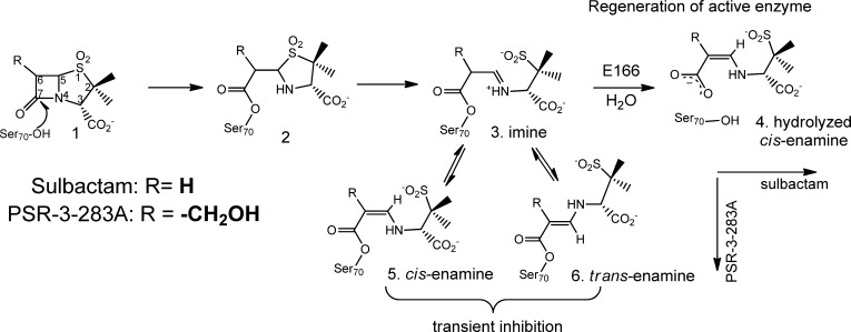 Scheme 2