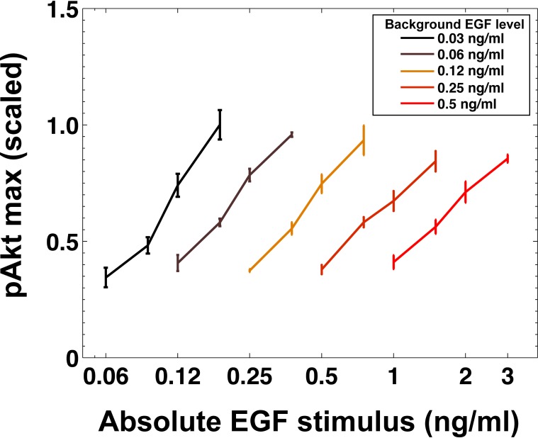 Figure 3—figure supplement 4.