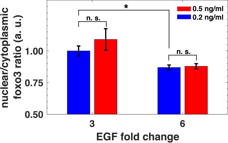 Figure 7—figure supplement 1.