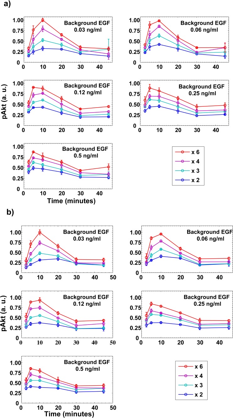 Figure 3—figure supplement 1.