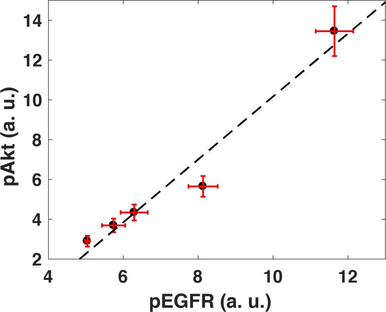 Figure 1—figure supplement 3.