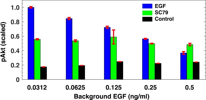 Figure 1—figure supplement 4.