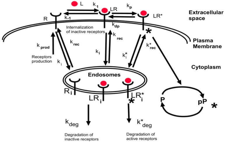 Appendix 1—figure 6.