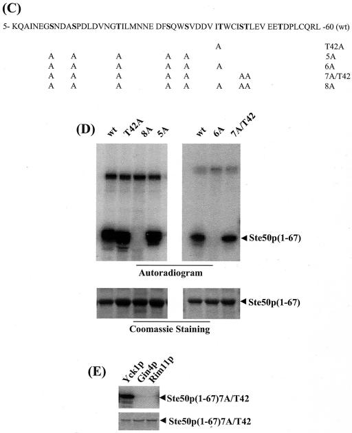 FIG. 5.