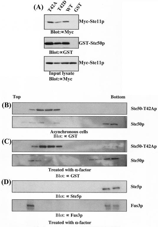 FIG. 8.