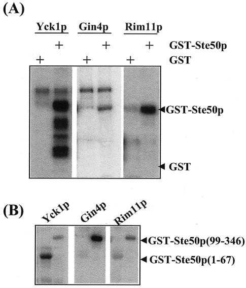 FIG. 5.