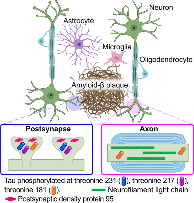 Graphical abstract