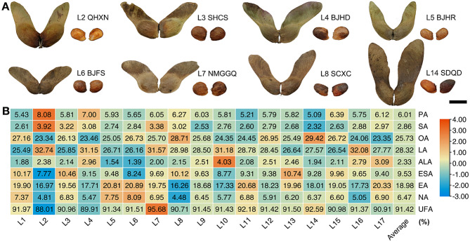 Fig. 4