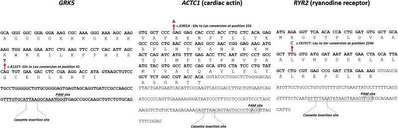 FIG. 4.