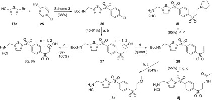 Scheme 5