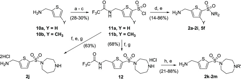 Scheme 1