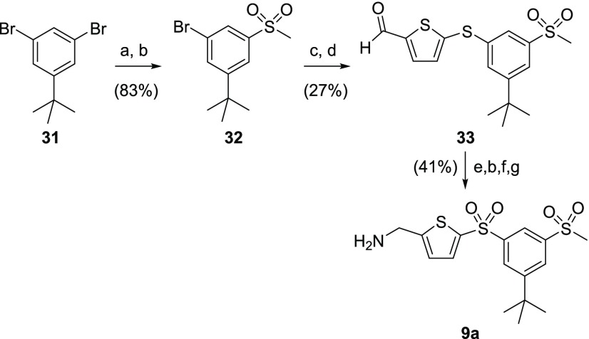 Scheme 7