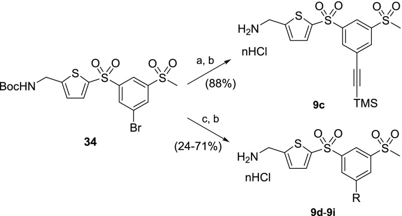 Scheme 8