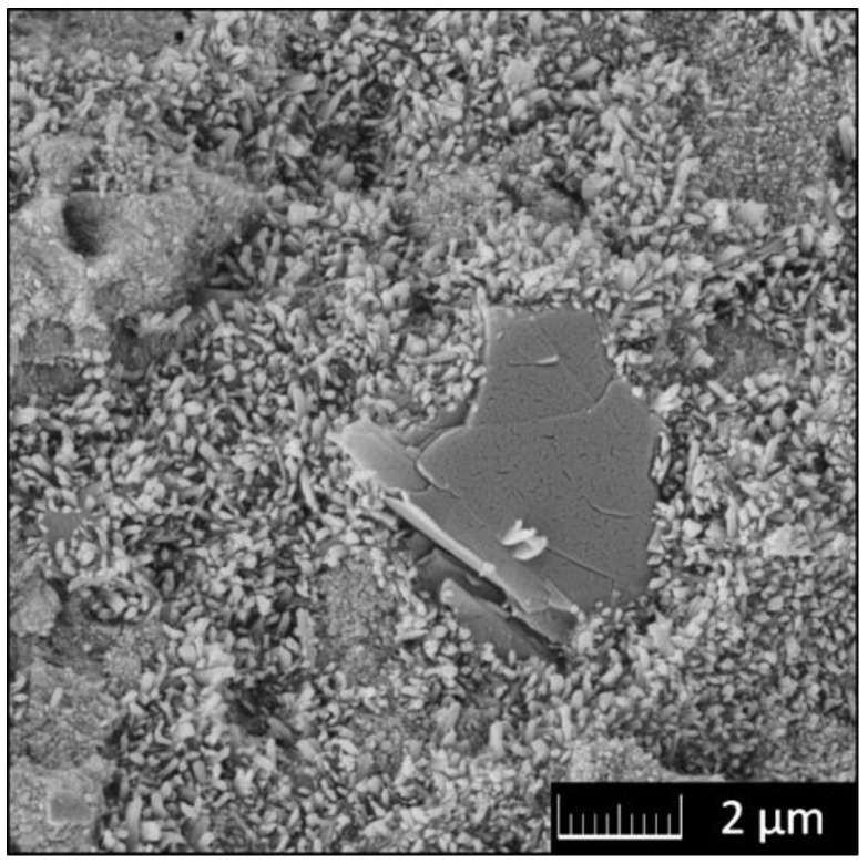 Figure 9