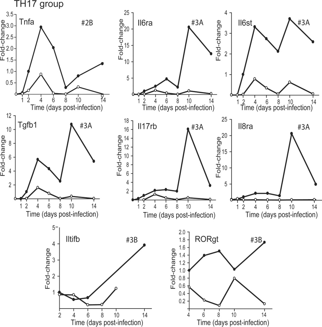 FIG. 3