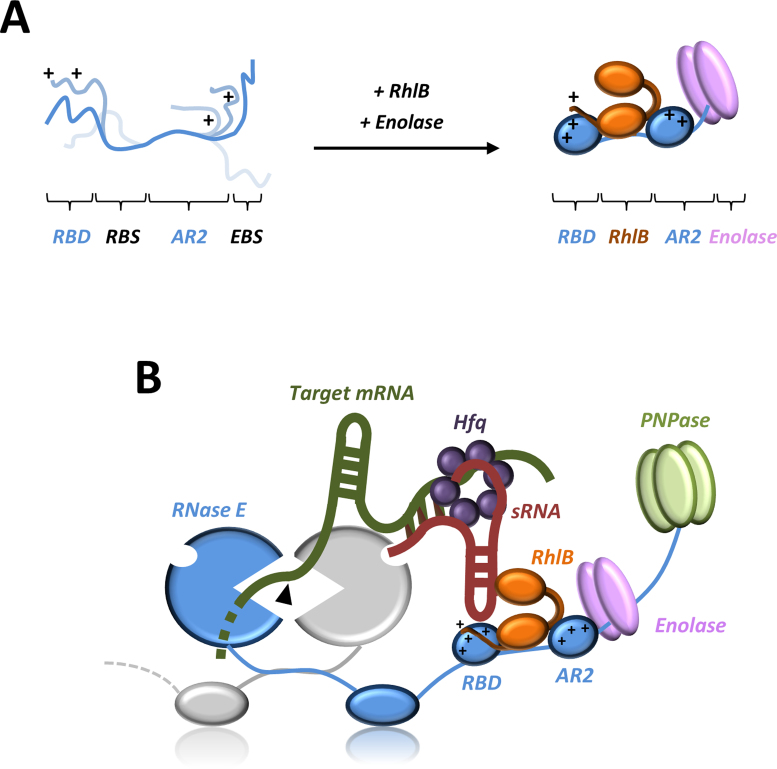 Figure 7.