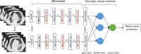 COVID-19 Classification Neural Network Model.