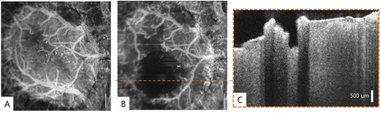 Fig. 5.