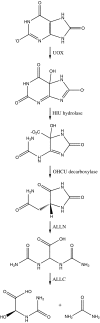 F<sc>IG</sc>. 1.