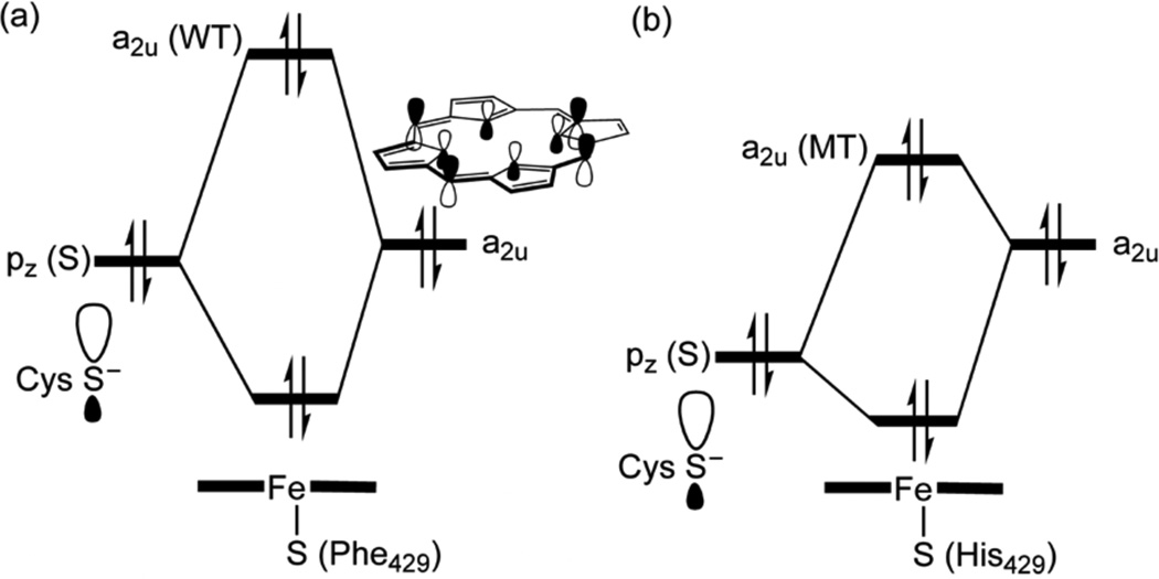 Scheme 4