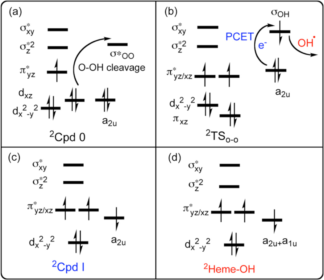 Scheme 3