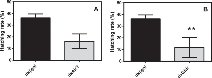 Fig 5