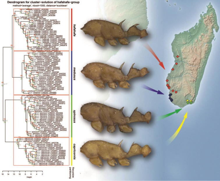 Figure 13.