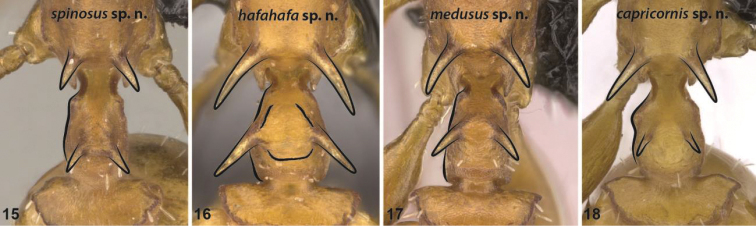 Figures 15–18.