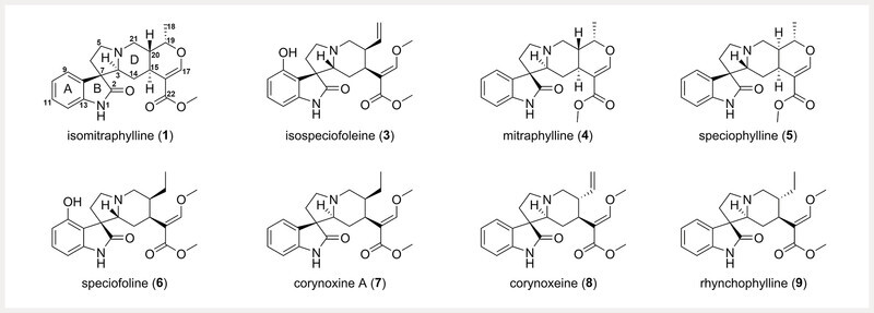 Fig. 2