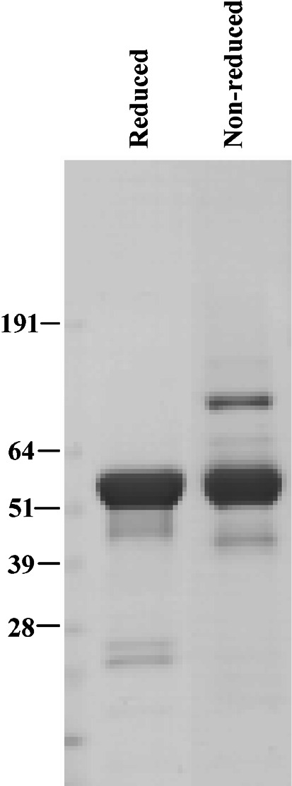 Fig. 2